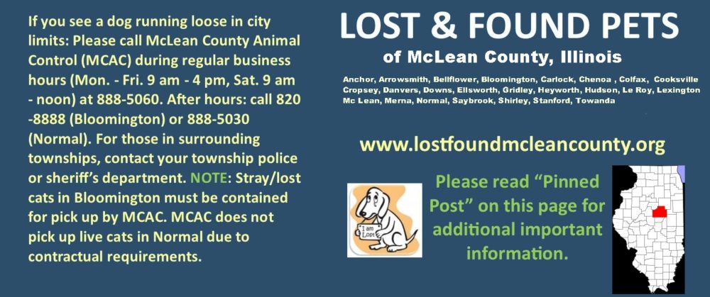 Lost and Found Pets of McLean County  Illinois